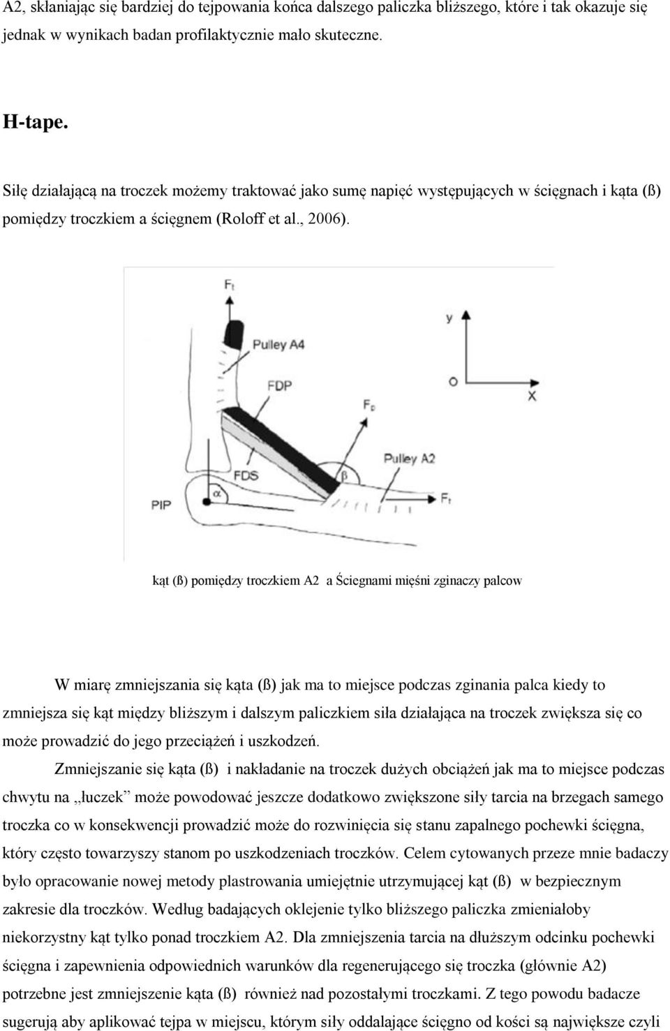 kąt (ß) pomiędzy troczkiem A2 a Ściegnami mięśni zginaczy palcow W miarę zmniejszania się kąta (ß) jak ma to miejsce podczas zginania palca kiedy to zmniejsza się kąt między bliższym i dalszym