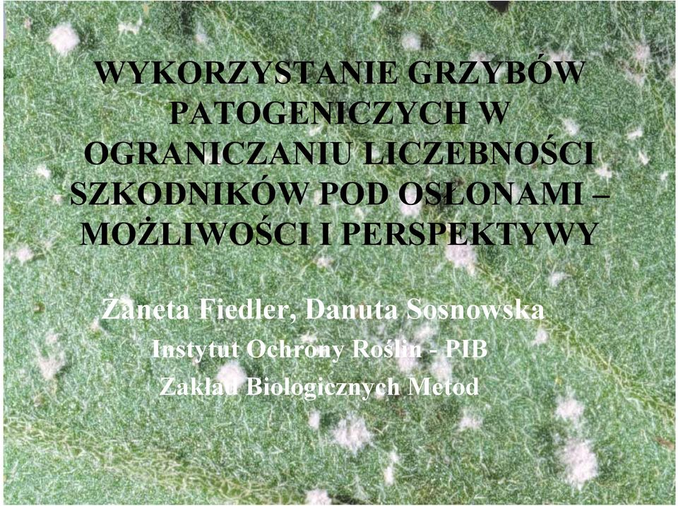 PERSPEKTYWY Żaneta Fiedler, Danuta Sosnowska