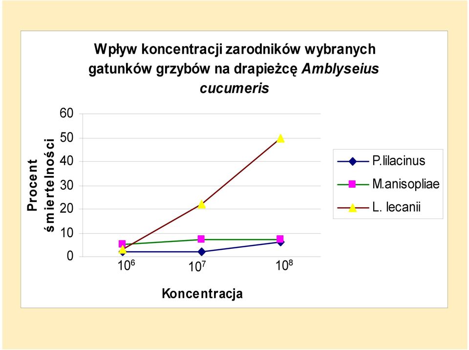 grzybów na drapieżcę Amblyseius cucumeris 10 6 10