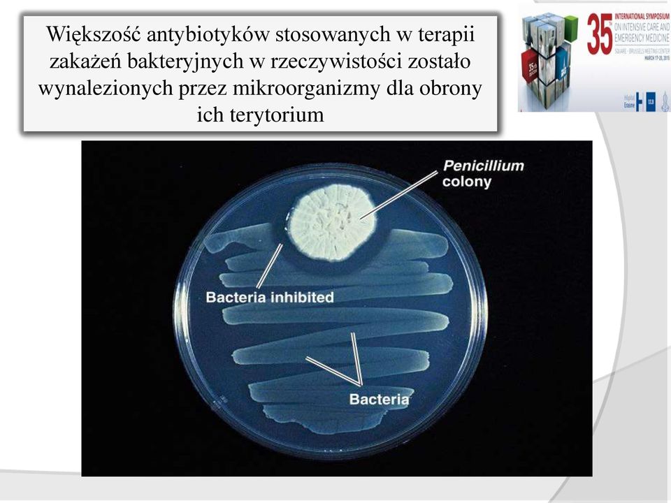 rzeczywistości zostało wynalezionych