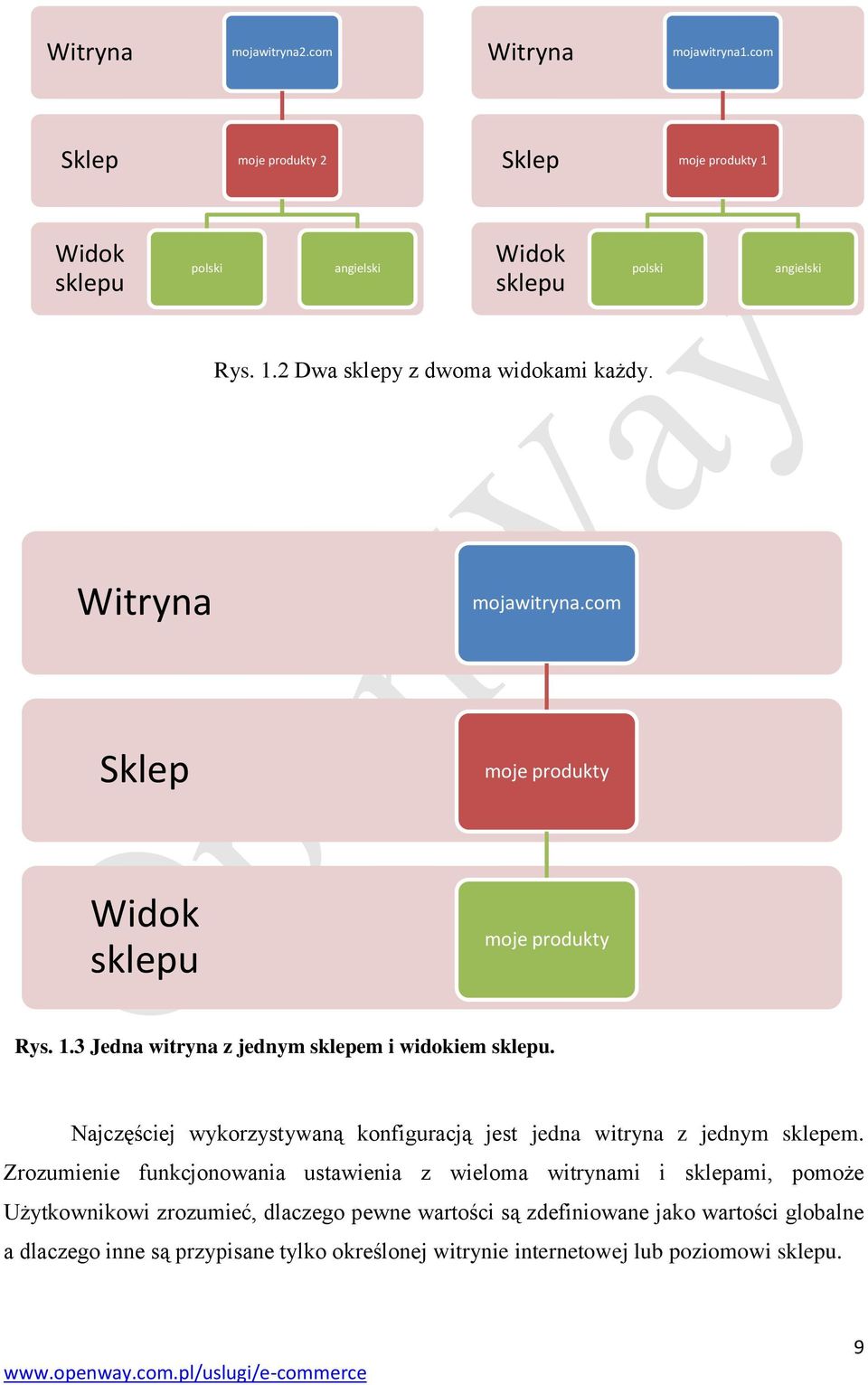 Najczęściej wykorzystywaną konfiguracją jest jedna witryna z jednym sklepem.