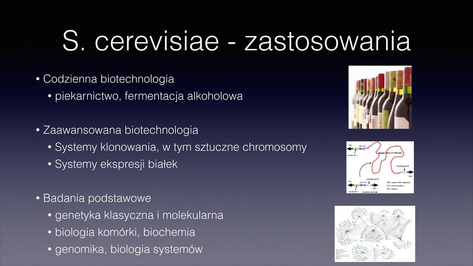 Zaawansowana biotechnologia Systemy klonowania, w tym sztuczne chromosomy