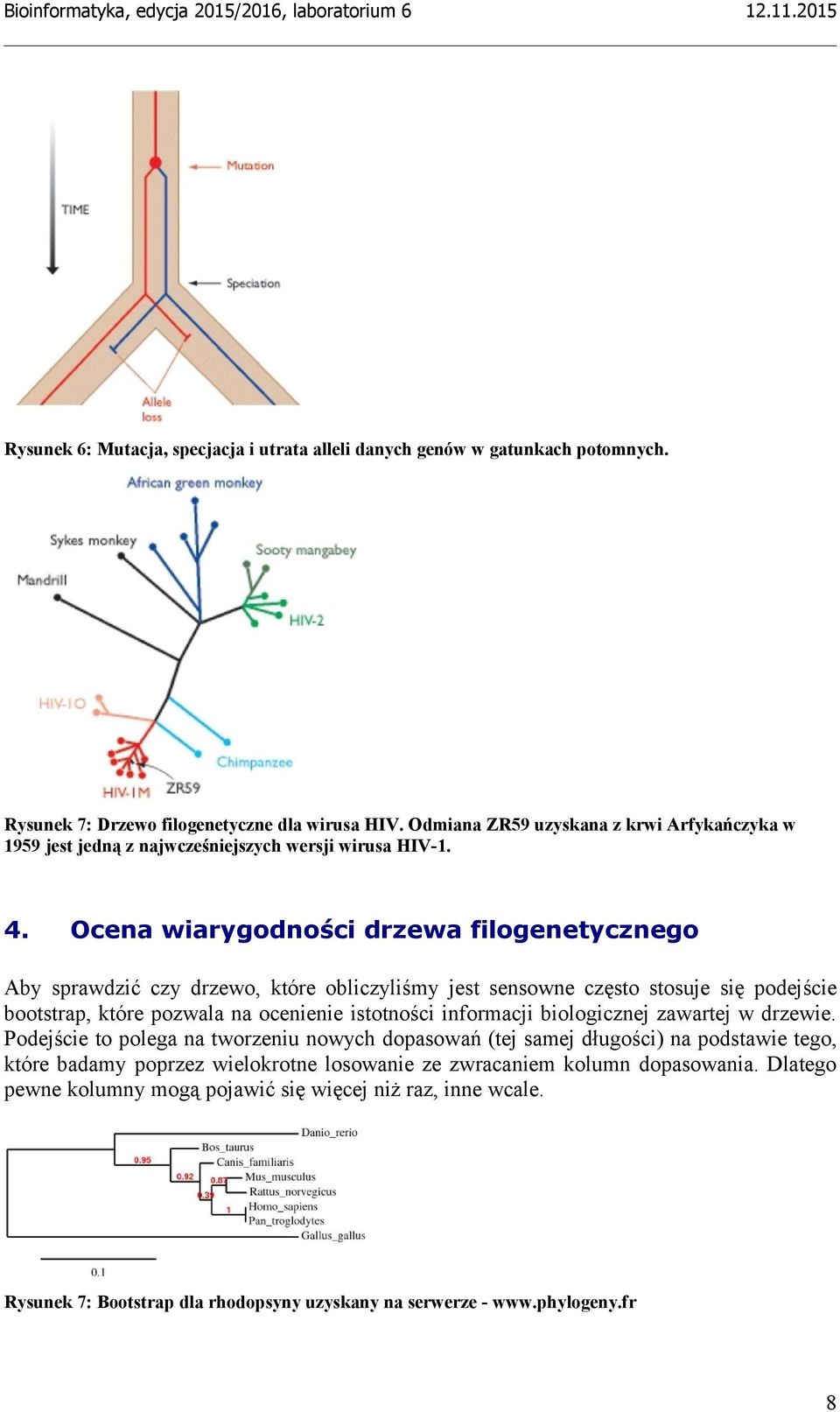 Ocena wiarygodności drzewa filogenetycznego Aby sprawdzić czy drzewo, które obliczyliśmy jest sensowne często stosuje się podejście bootstrap, które pozwala na ocenienie istotności informacji