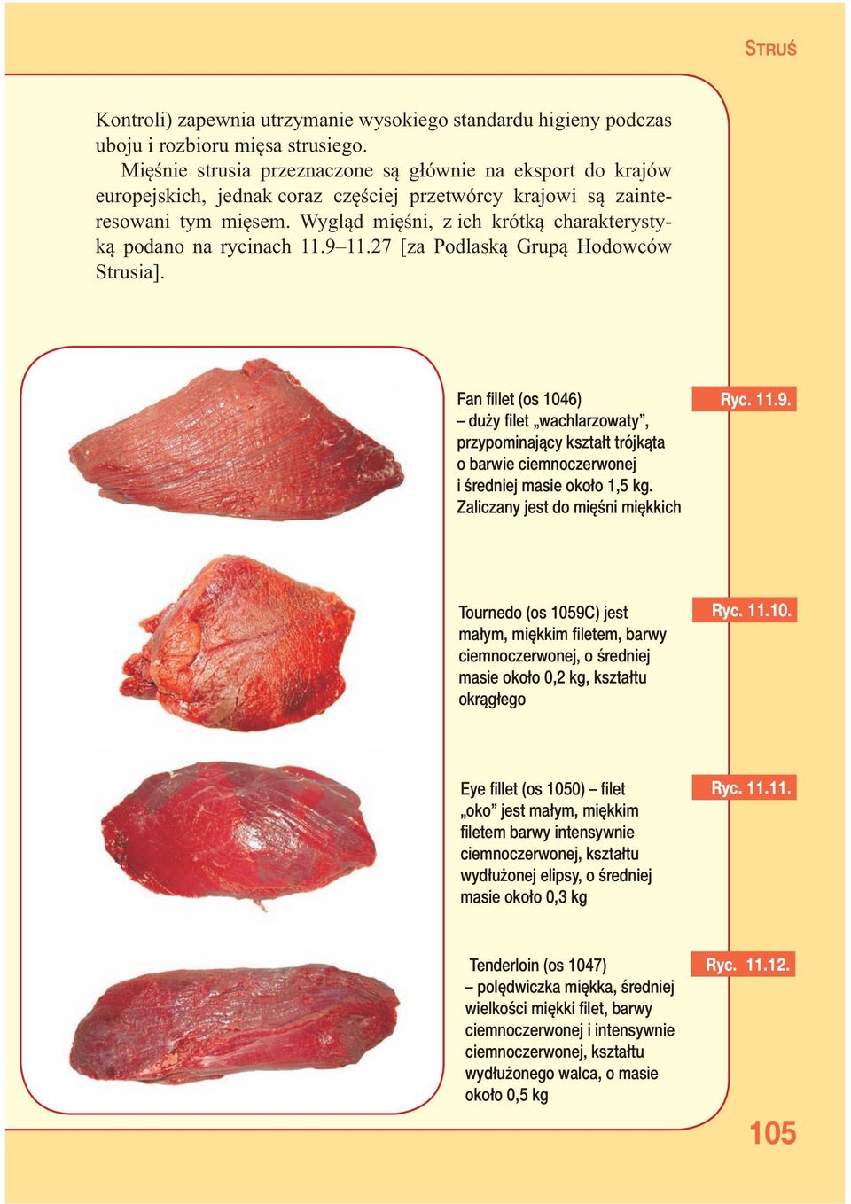 Wygląd mięśni, z ich krótką charakterystyką podano na rycinach 11.9 11.27 [za Podlaską Grupą Hodowców Strusia].