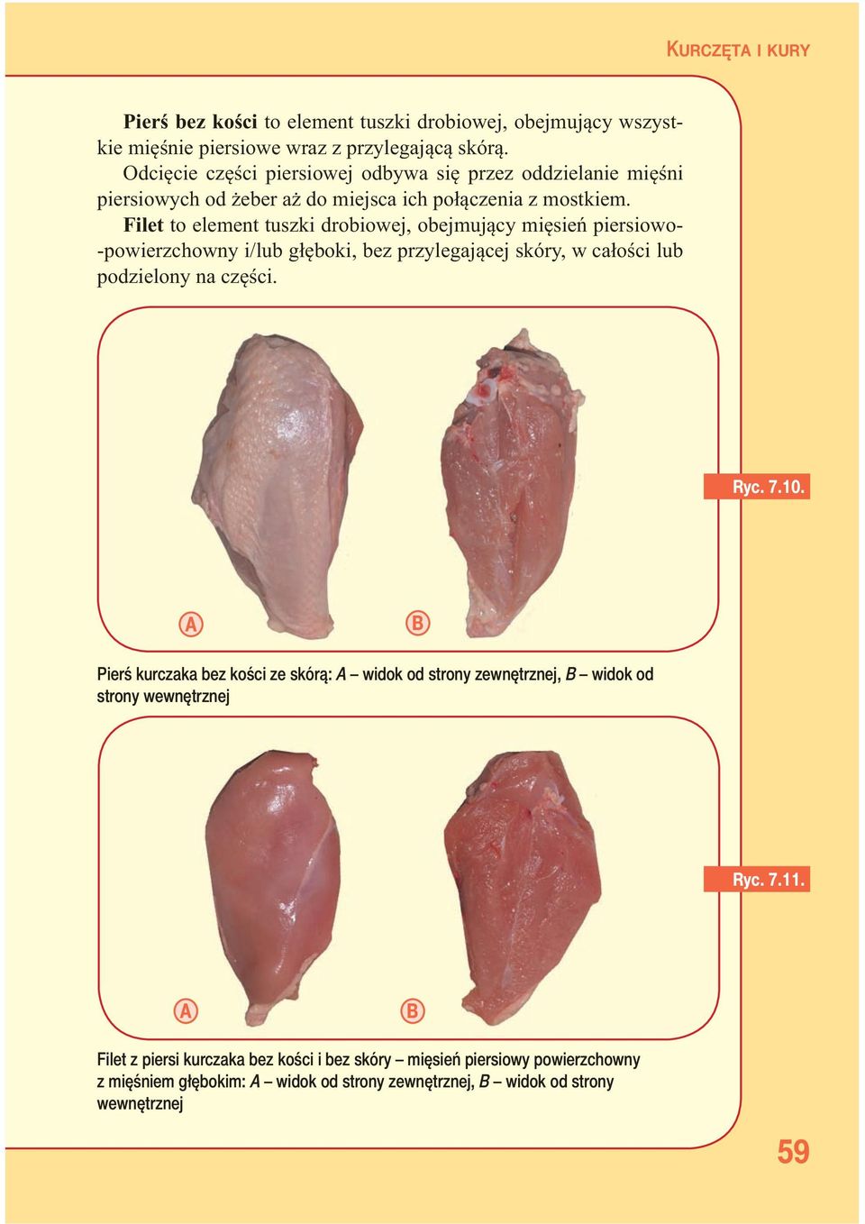 Filet to element tuszki drobiowej, obejmujący mięsień piersiowo- -powierzchowny i/lub głęboki, bez przylegającej skóry, w całości lub podzielony na części. Ryc. 7.10.