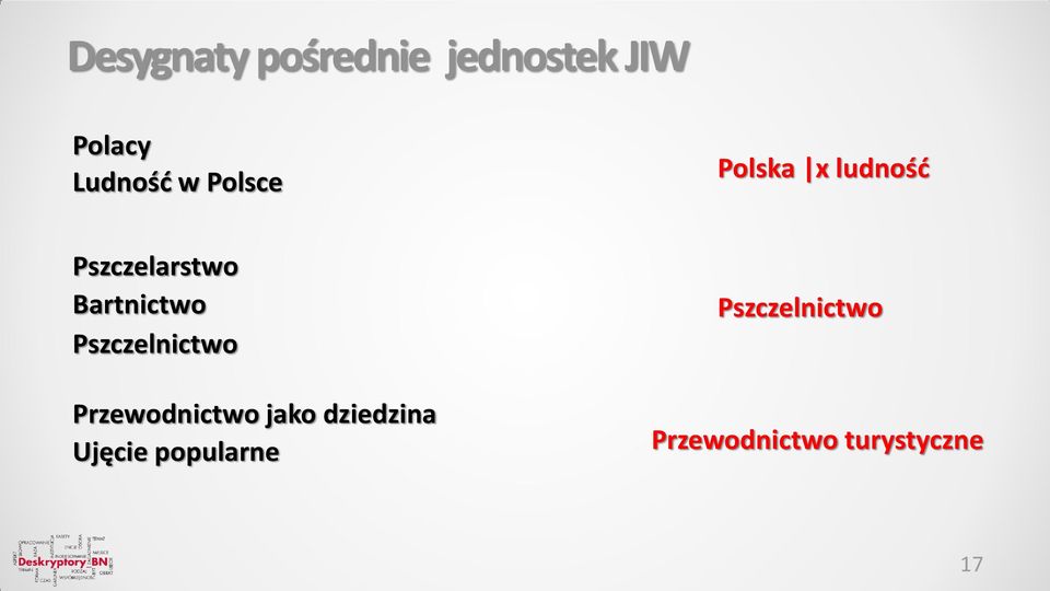 Pszczelnictwo Przewodnictwo jako dziedzina Ujęcie