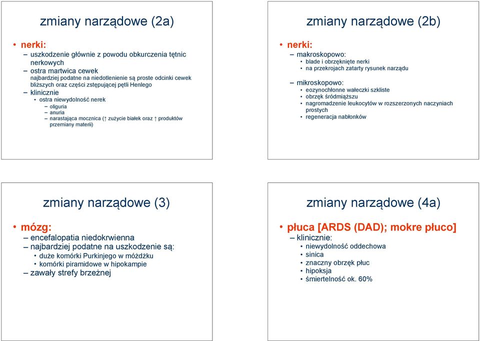 i obrzęknięte nerki na przekrojach zatarty rysunek narządu mikroskopowo: eozynochłonne wałeczki szkliste obrzęk śródmiąższu nagromadzenie leukocytów w rozszerzonych naczyniach prostych regeneracja