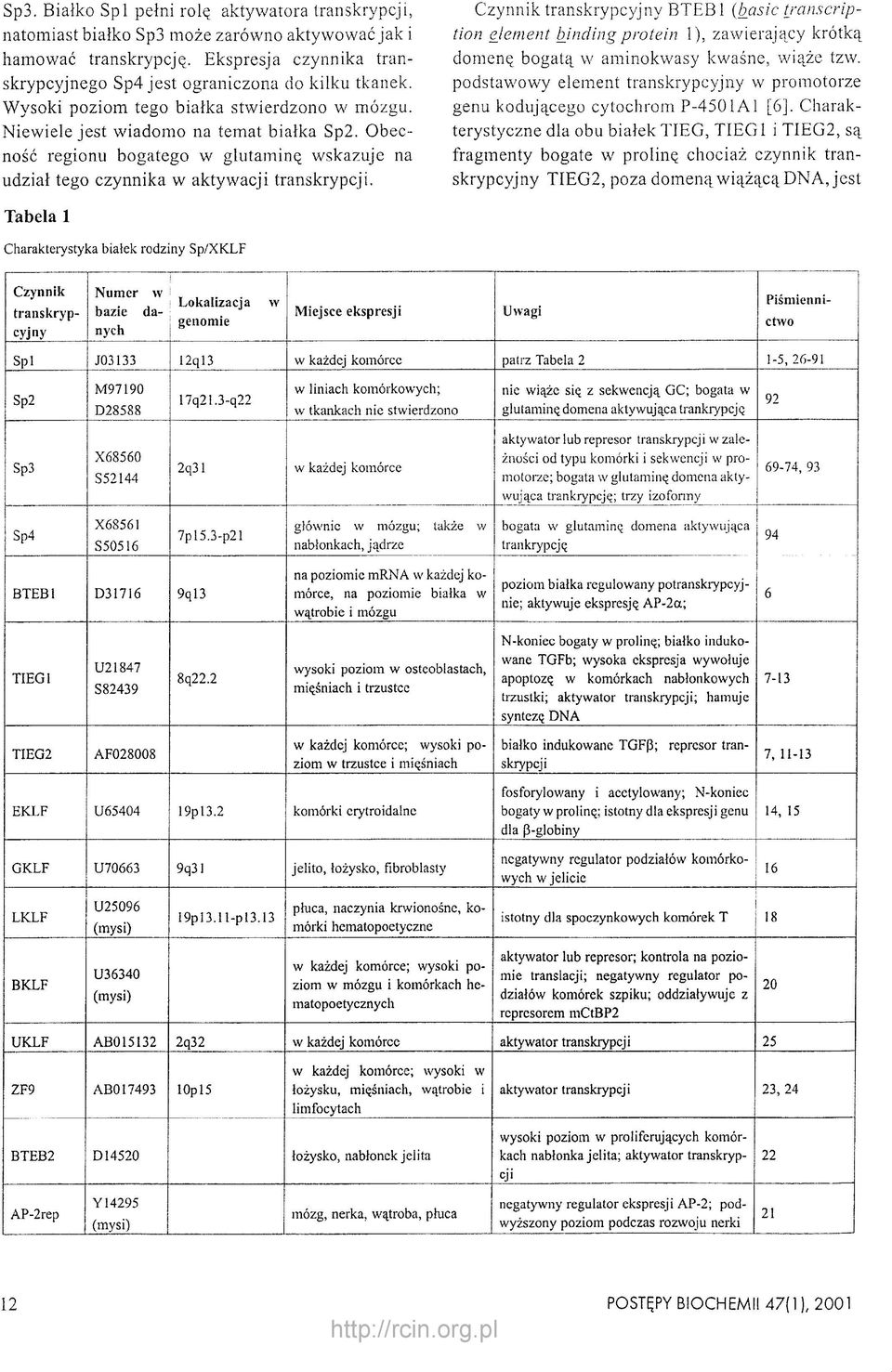 Czynnik transkrypcyjny BTEB1 (basie tjanscription element binding protein 1), zawierający krótką domenę bogatą w aminokwasy kwaśne, wiąże tzw.