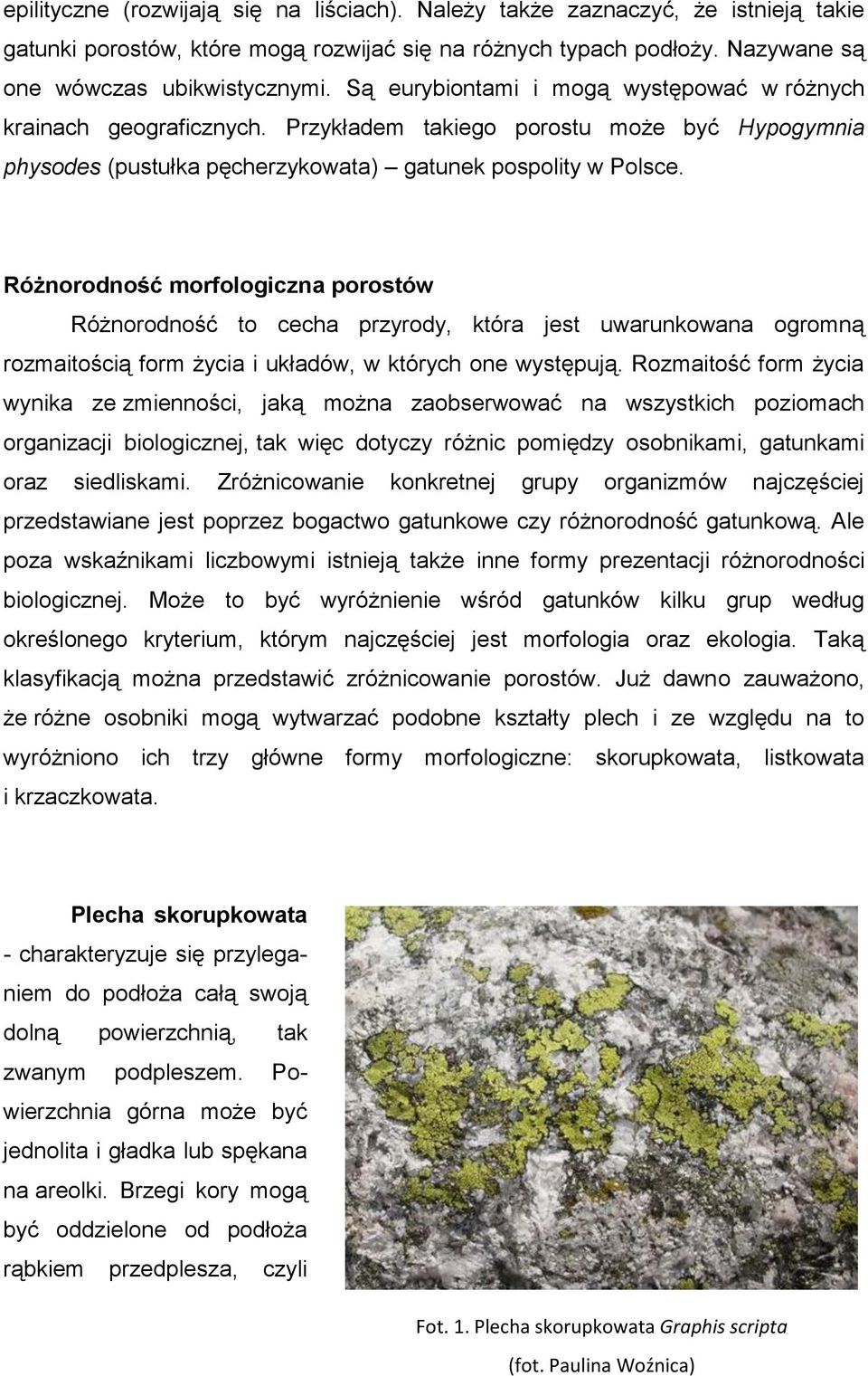 Różnorodność morfologiczna porostów Różnorodność to cecha przyrody, która jest uwarunkowana ogromną rozmaitością form życia i układów, w których one występują.