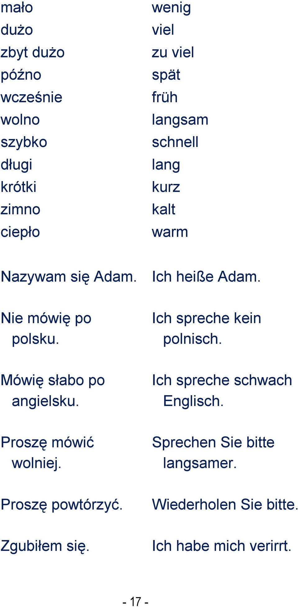 Ich spreche kein polnisch. Mówię słabo po angielsku. Ich spreche schwach Englisch. Proszę mówić wolniej.