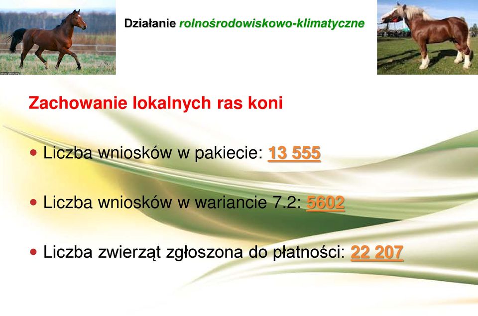 wniosków w wariancie 7.