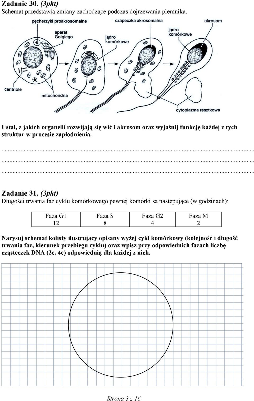 (3pkt) Długości trwania faz cyklu komórkowego pewnej komórki są następujące (w godzinach): Faza G1 12 Faza S 8 Faza G2 4 Faza M 2 Narysuj schemat