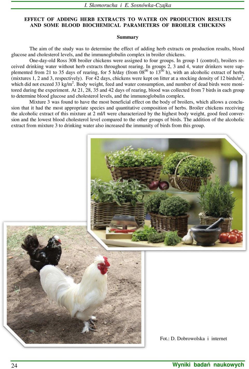 adding herb extracts on production results, blood glucose and cholesterol levels, and the immunoglobulin complex in broiler chickens.