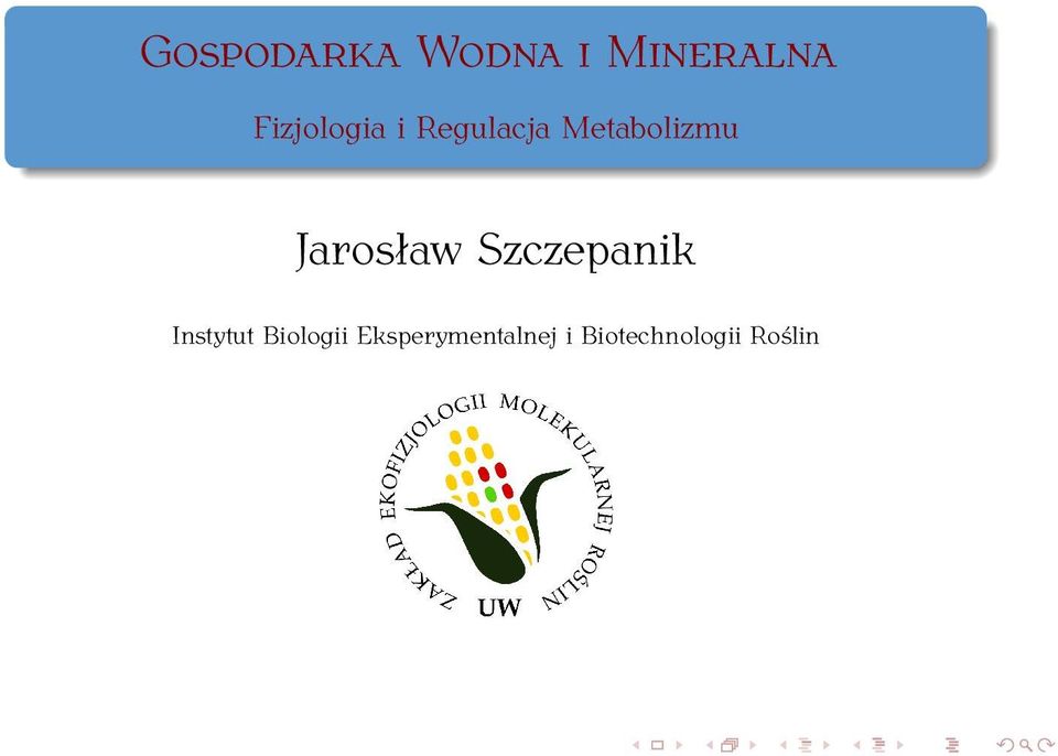 Jarosław Szczepanik Instytut