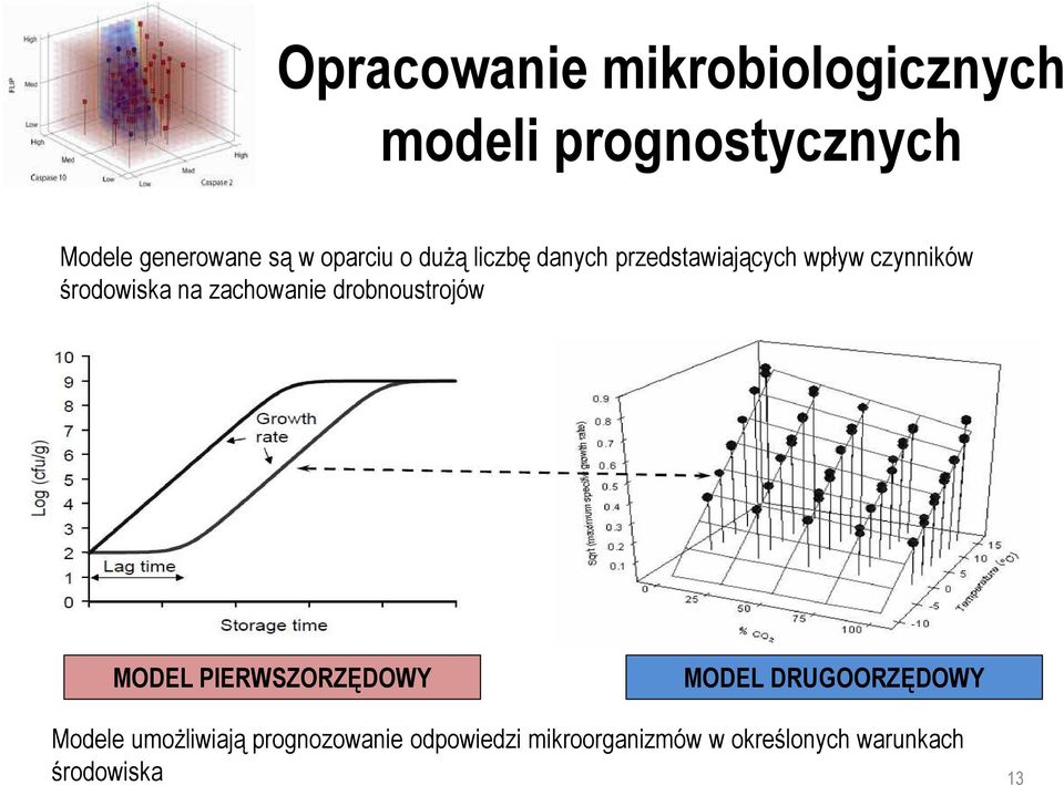 zachowanie drobnoustrojów MODEL PIERWSZORZĘDOWY MODEL DRUGOORZĘDOWY Modele