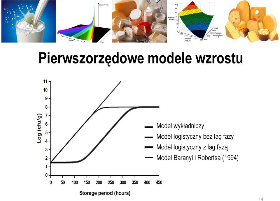 bez lag fazy Model logistyczny z