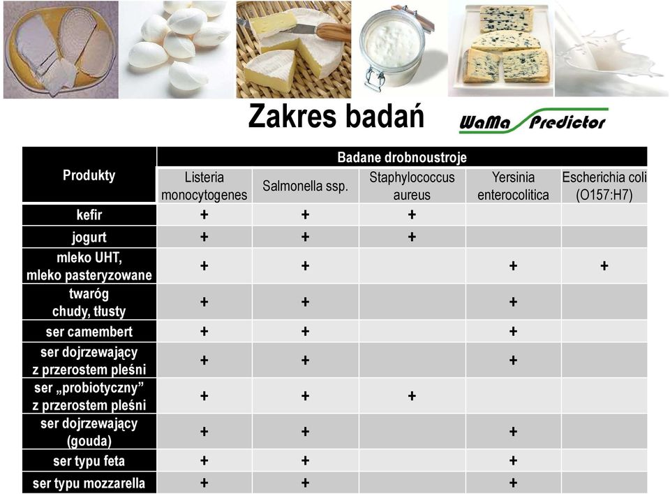 Escherichia coli (O157:H7) + + + + + + + ser camembert + + + ser dojrzewający z przerostem pleśni ser