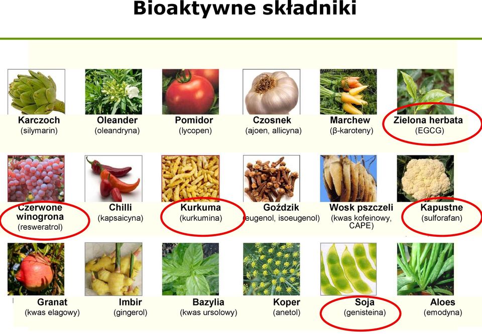 Kurkuma (kurkumina) Goździk (eugenol, isoeugenol) Wosk pszczeli (kwas kofeinowy, CAPE) Kapustne