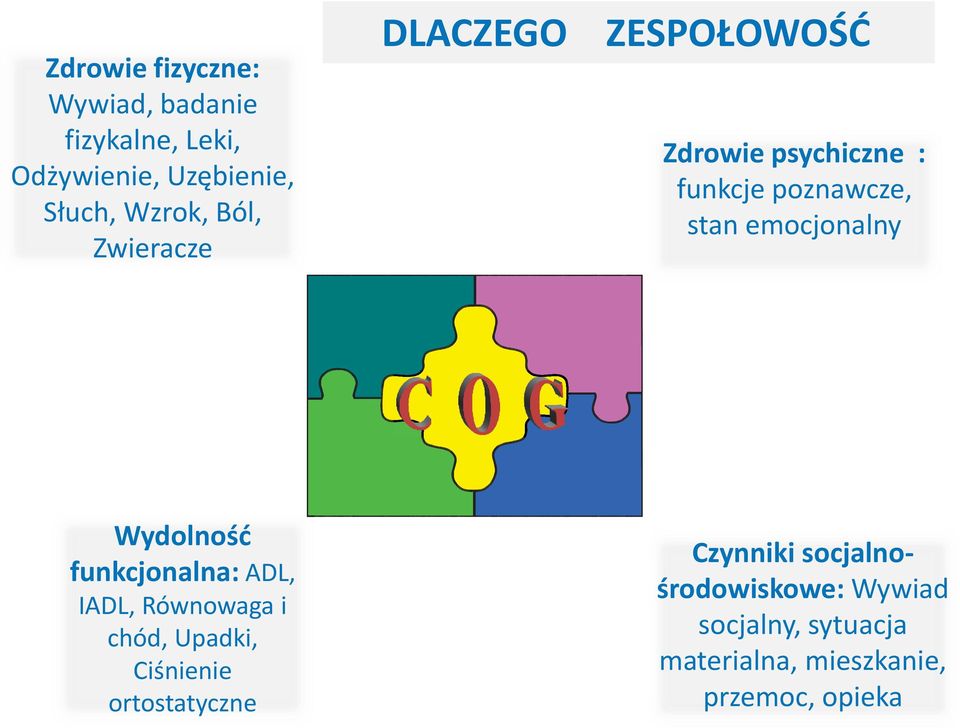 emocjonalny Wydolność funkcjonalna: ADL, IADL, Równowaga i chód, Upadki, Ciśnienie