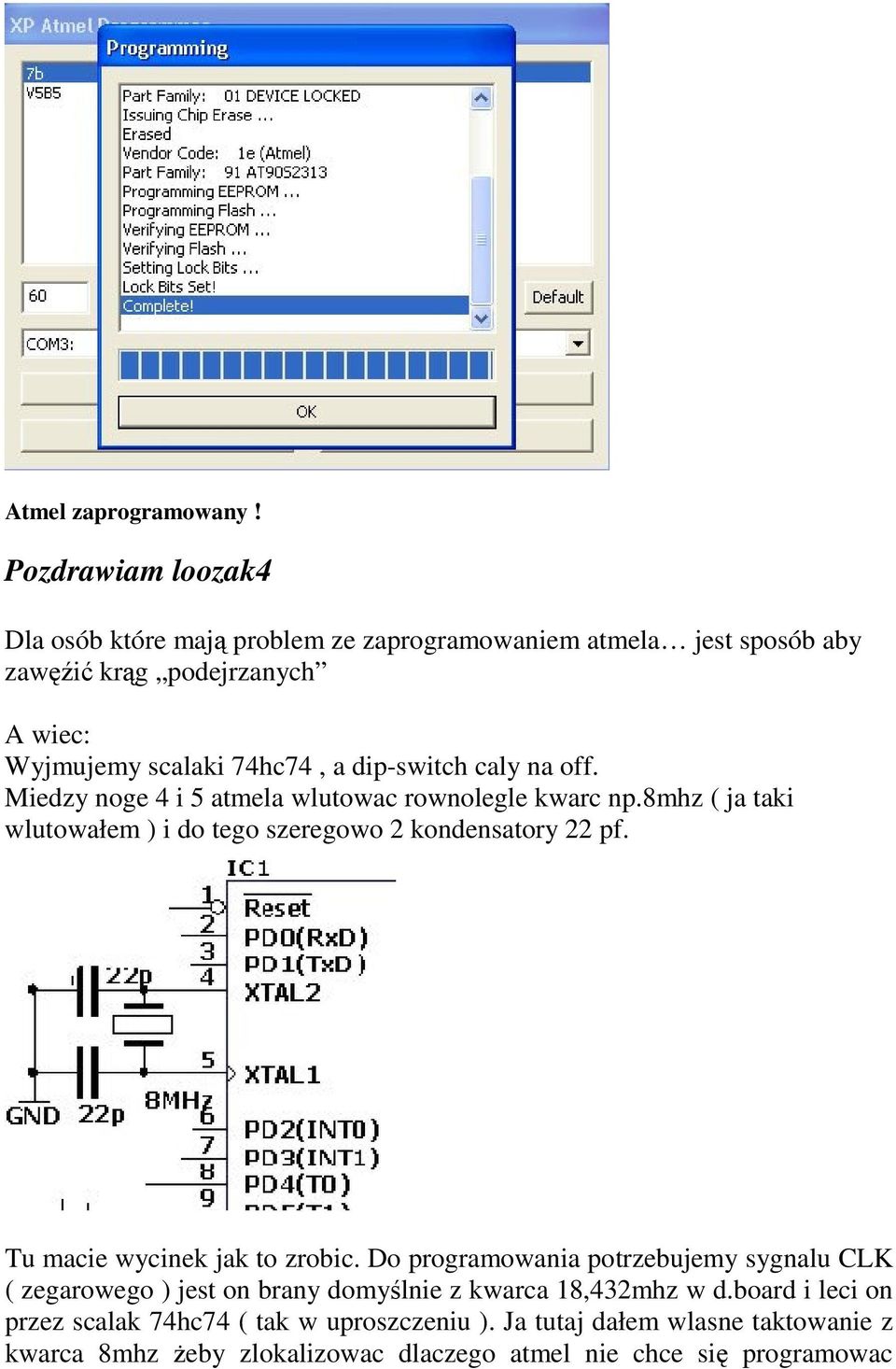 dip-switch caly na off. Miedzy noge 4 i 5 atmela wlutowac rownolegle kwarc np.8mhz ( ja taki wlutowałem ) i do tego szeregowo 2 kondensatory 22 pf.