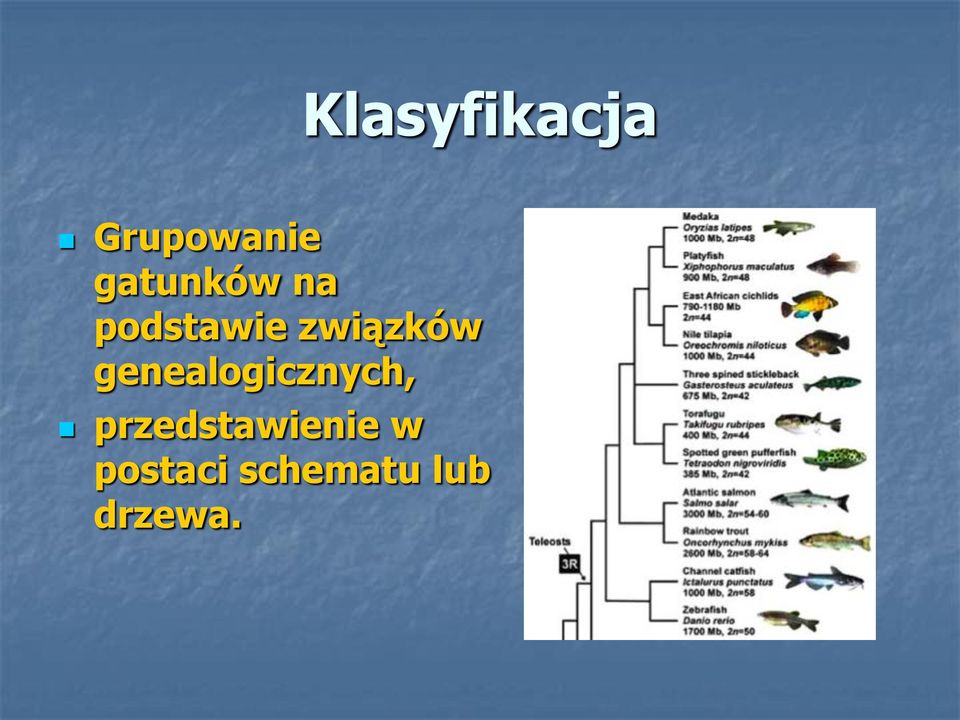 związków genealogicznych,