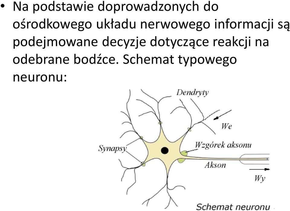 są podejmowane decyzje dotyczące