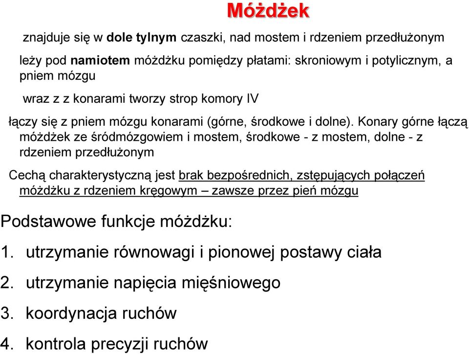 Konary górne łączą móżdżek ze śródmózgowiem i mostem, środkowe - z mostem, dolne - z rdzeniem przedłużonym Cechą charakterystyczną jest brak bezpośrednich,