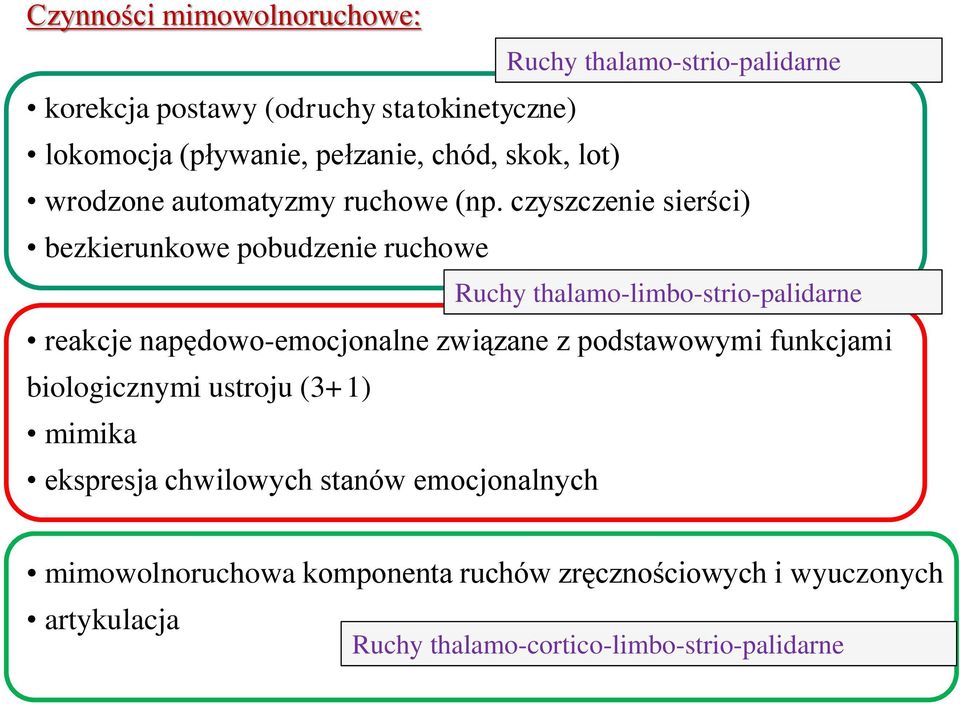 czyszczenie sierści) bezkierunkowe pobudzenie ruchowe Ruchy thalamo-limbo-strio-palidarne reakcje napędowo-emocjonalne związane z