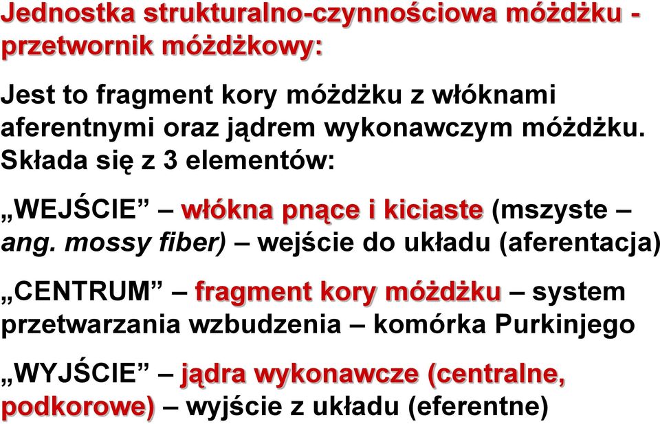 Składa się z 3 elementów: WEJŚCIE włókna pnące i kiciaste (mszyste ang.