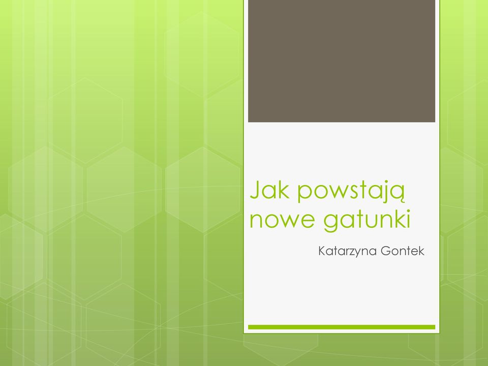 nowe