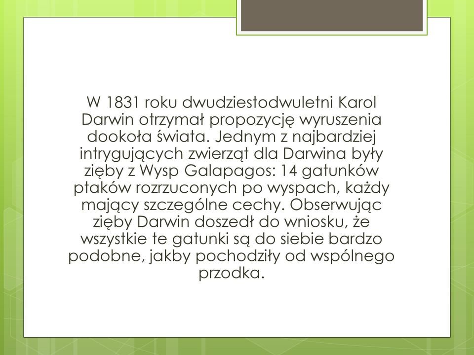 ptaków rozrzuconych po wyspach, każdy mający szczególne cechy.