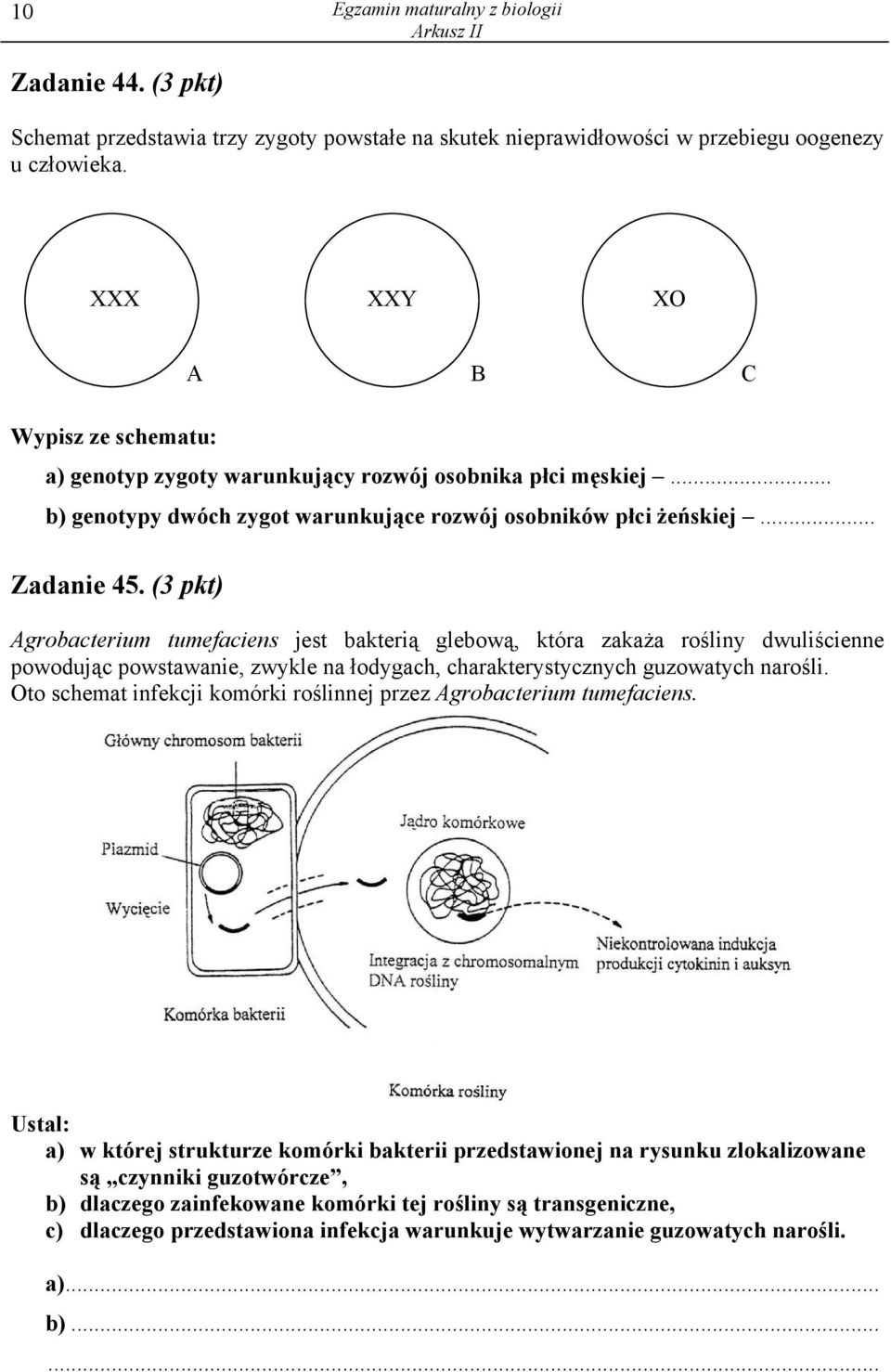 (3 pkt) Agrobacterium tumefaciens jest bakterią glebową, która zakaża rośliny dwuliścienne powodując powstawanie, zwykle na łodygach, charakterystycznych guzowatych narośli.