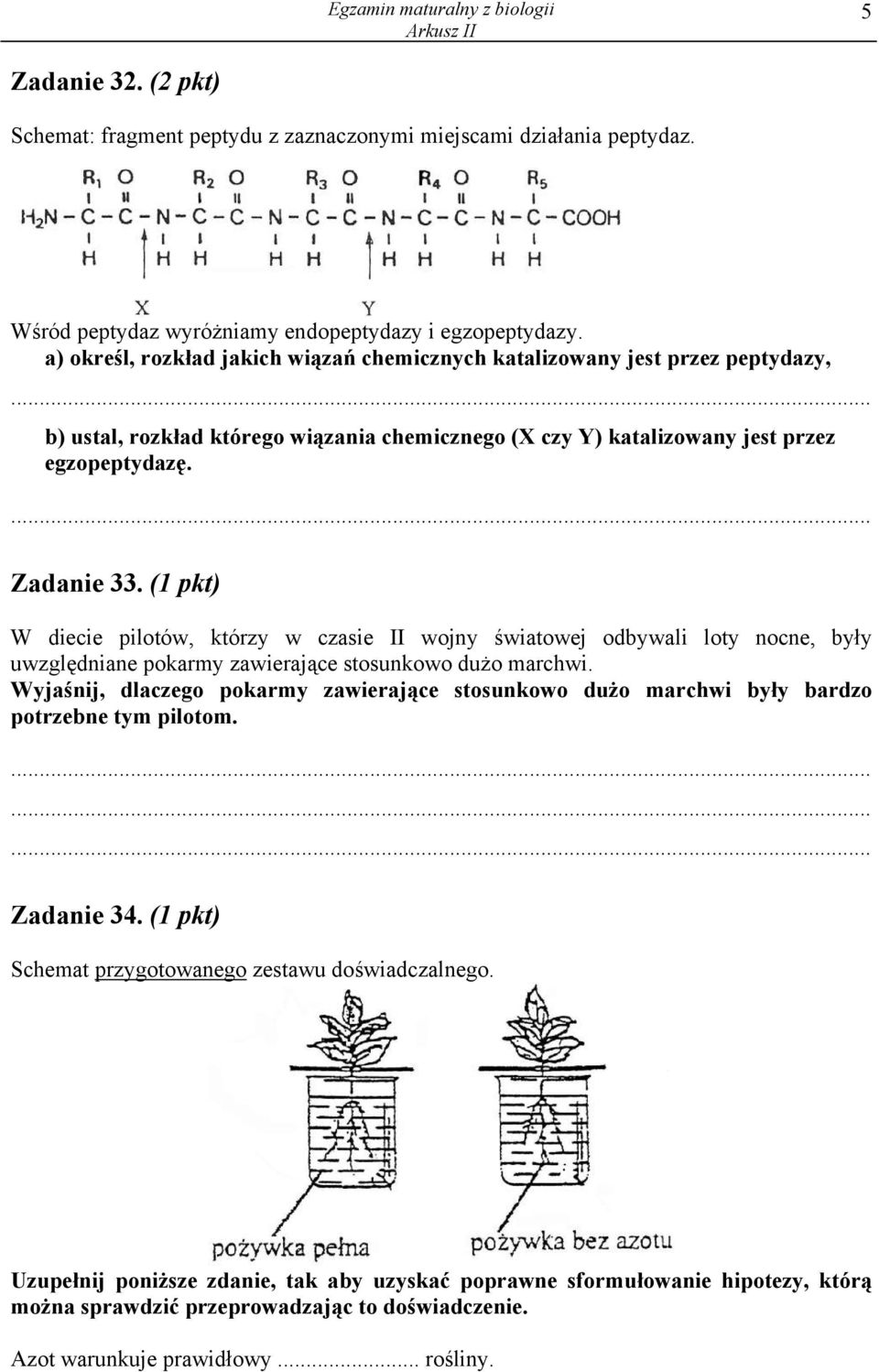 (1 pkt) W diecie pilotów, którzy w czasie II wojny światowej odbywali loty nocne, były uwzględniane pokarmy zawierające stosunkowo dużo marchwi.