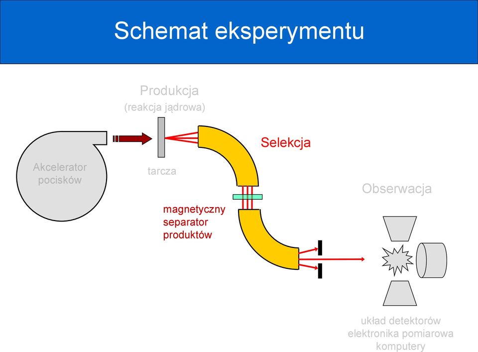 tarcza magnetyczny separator produktów