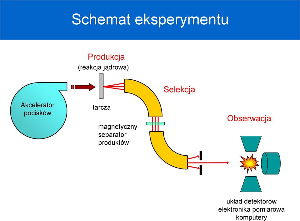 tarcza magnetyczny separator produktów