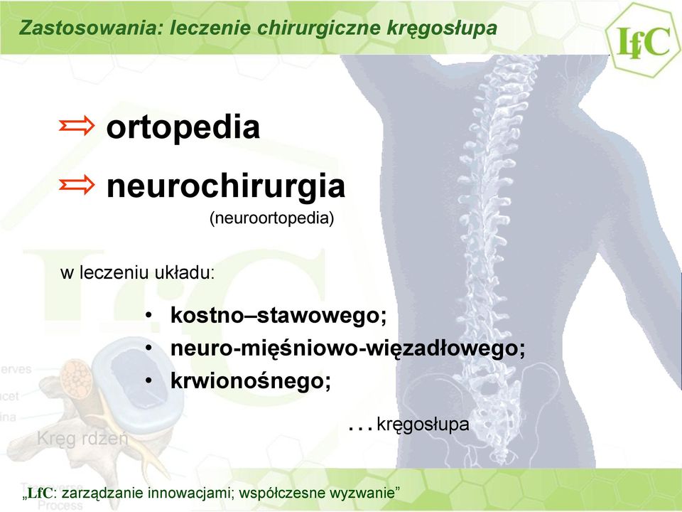 stawowego; neuro-mięśniowo-więzadłowego; krwionośnego; Kręg