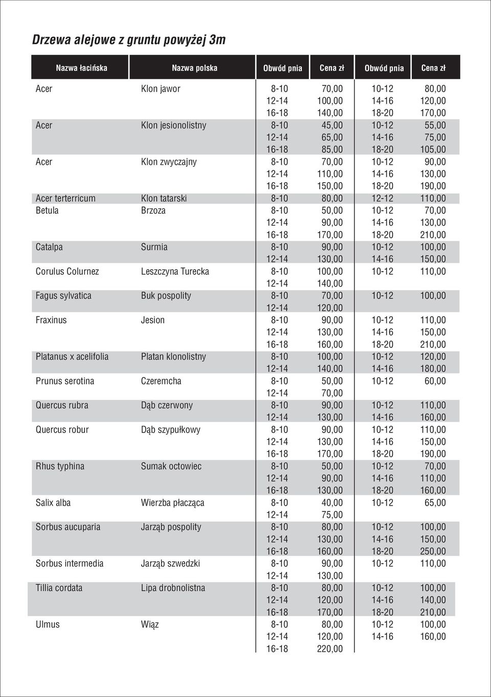 terterricum Klon tatarski 8-10 80,00 12-12 110,00 Betula Brzoza 8-10 50,00 10-12 70,00 12-14 90,00 14-16 130,00 16-18 170,00 18-20 210,00 Catalpa Surmia 8-10 90,00 10-12 100,00 12-14 130,00 14-16