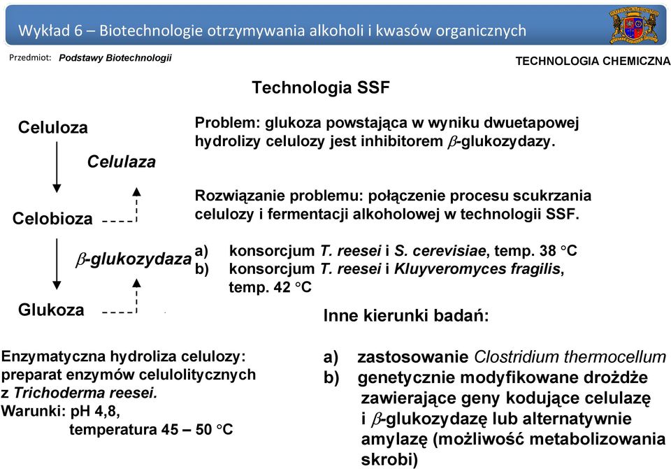 38 C b) konsorcjum T. reesei i Kluyveromyces fragilis, temp. 42 C Inne kierunki badań: Enzymatyczna hydroliza celulozy: preparat enzymów celulolitycznych z Trichoderma reesei.