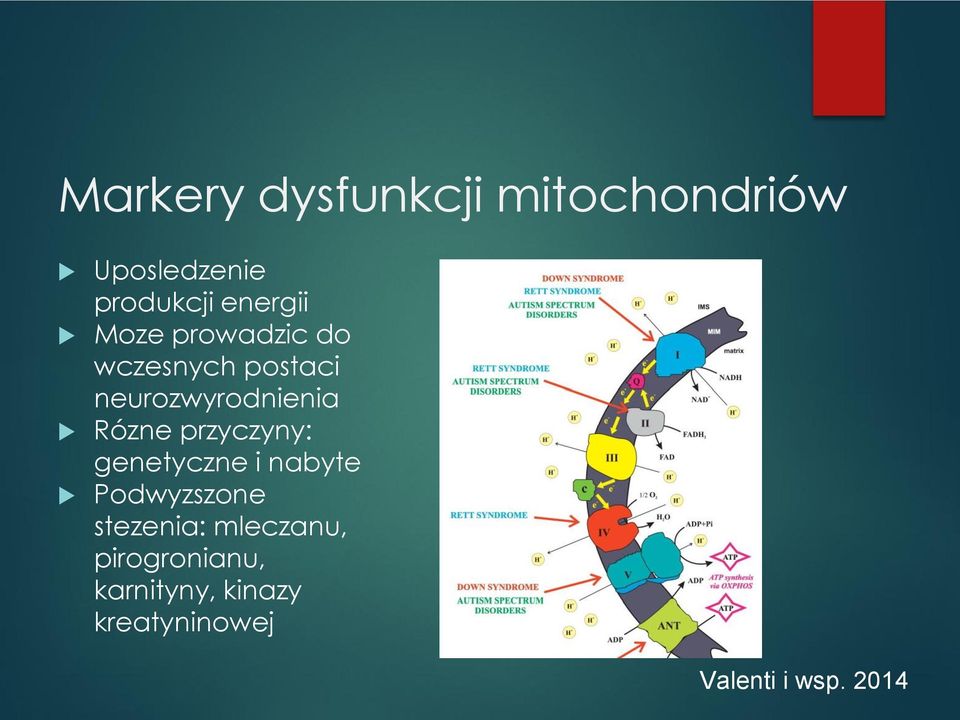 Rózne przyczyny: genetyczne i nabyte Podwyzszone stezenia: