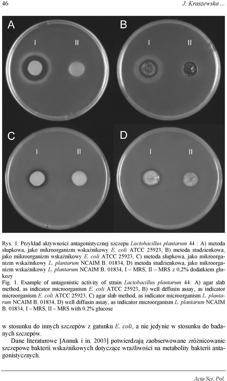 01834, D) metoda studzienkowa, jako mikroorganizm wskaźnikowy L. plantarum NCAIM B. 01834, I MRS, II MRS z 0,2% dodatkiem glukozy Fig. 1.