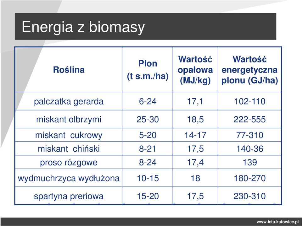 /ha) Wartość opałowa (MJ/kg) Wartość energetyczna plonu (GJ/ha) palczatka gerarda 6-24