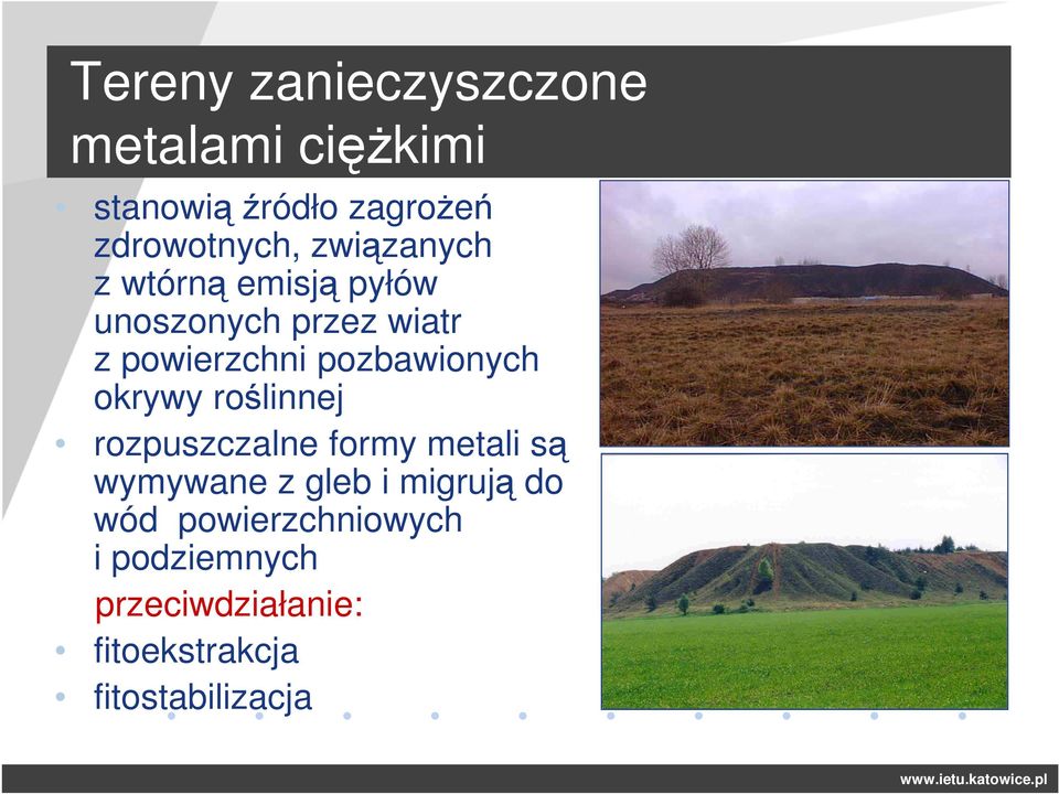 pozbawionych okrywy roślinnej rozpuszczalne formy metali są wymywane z gleb i