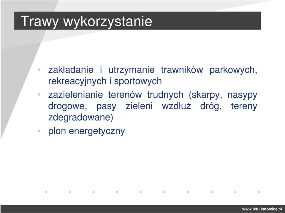 zazielenianie terenów trudnych (skarpy, nasypy