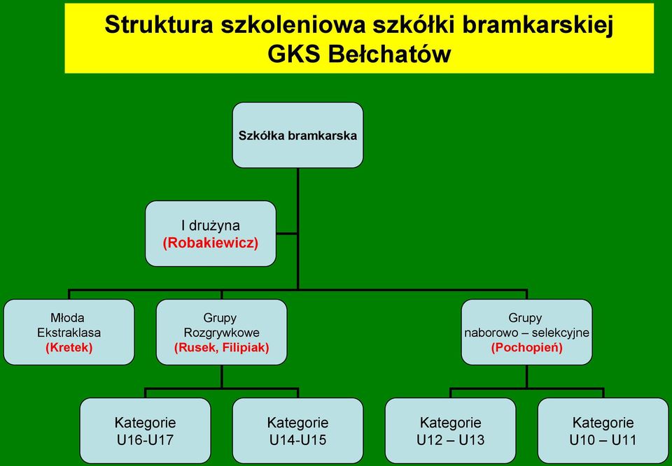 Rozgrywkowe (Rusek, Filipiak) Grupy naborowo selekcyjne (Pochopień)