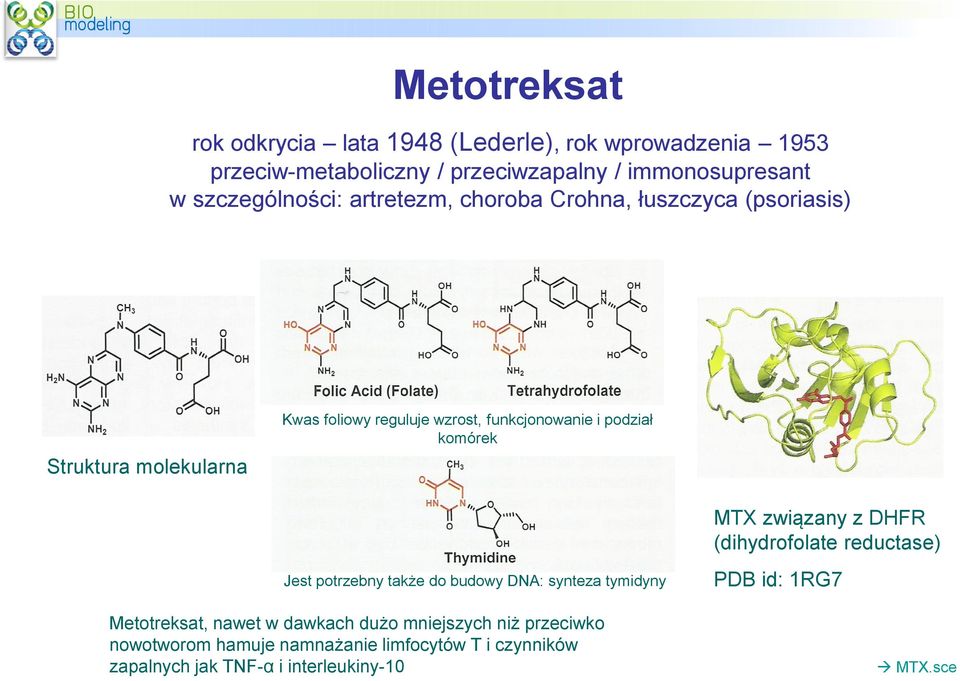 podział komórek MTX związany z DHFR (dihydrofolate reductase) Jest potrzebny także do budowy DNA: synteza tymidyny PDB id: 1RG7