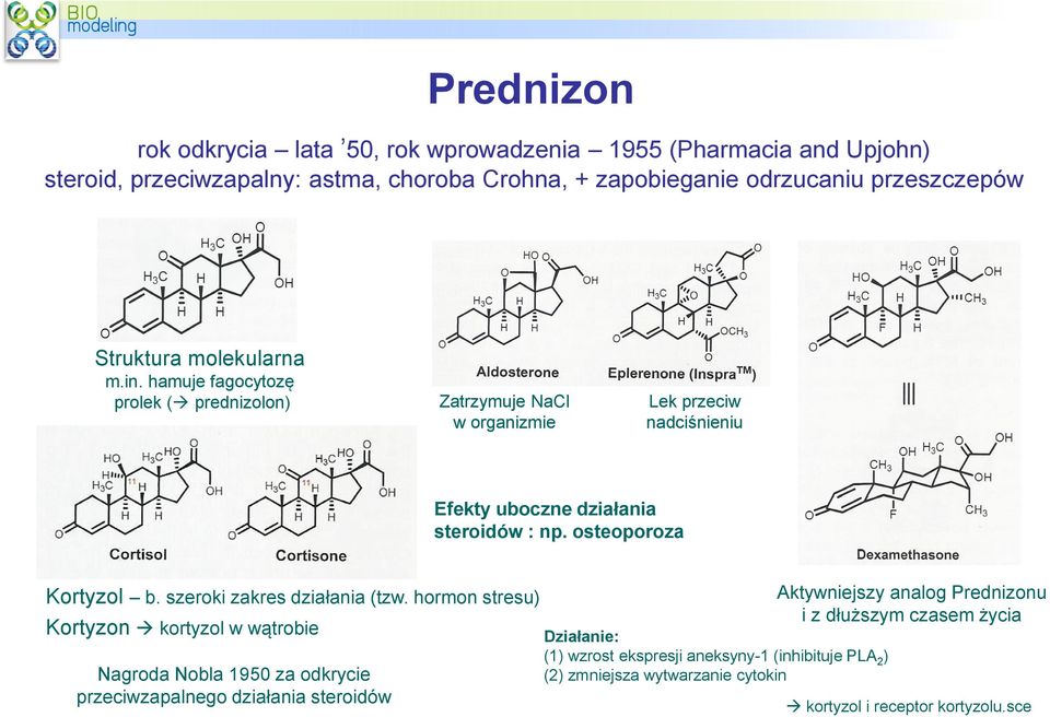 osteoporoza Kortyzol b. szeroki zakres działania (tzw.