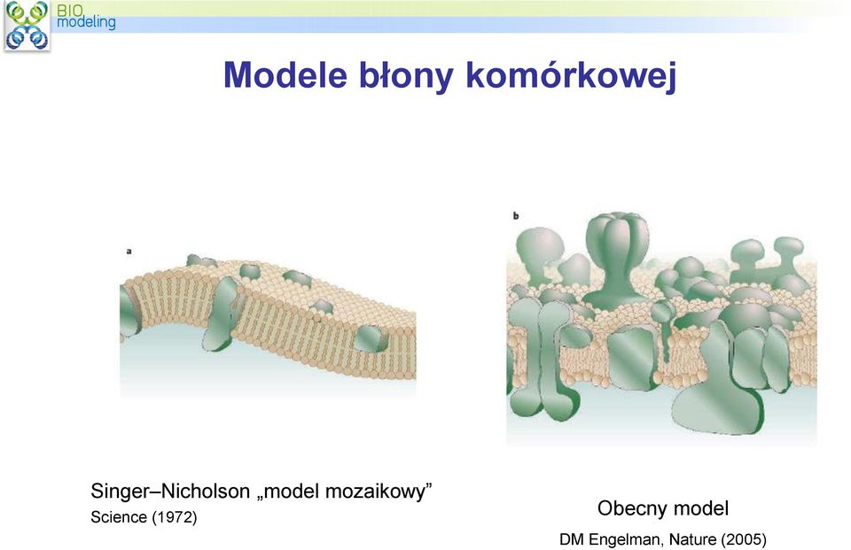 mozaikowy Science (1972)