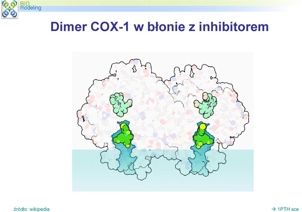 inhibitorem