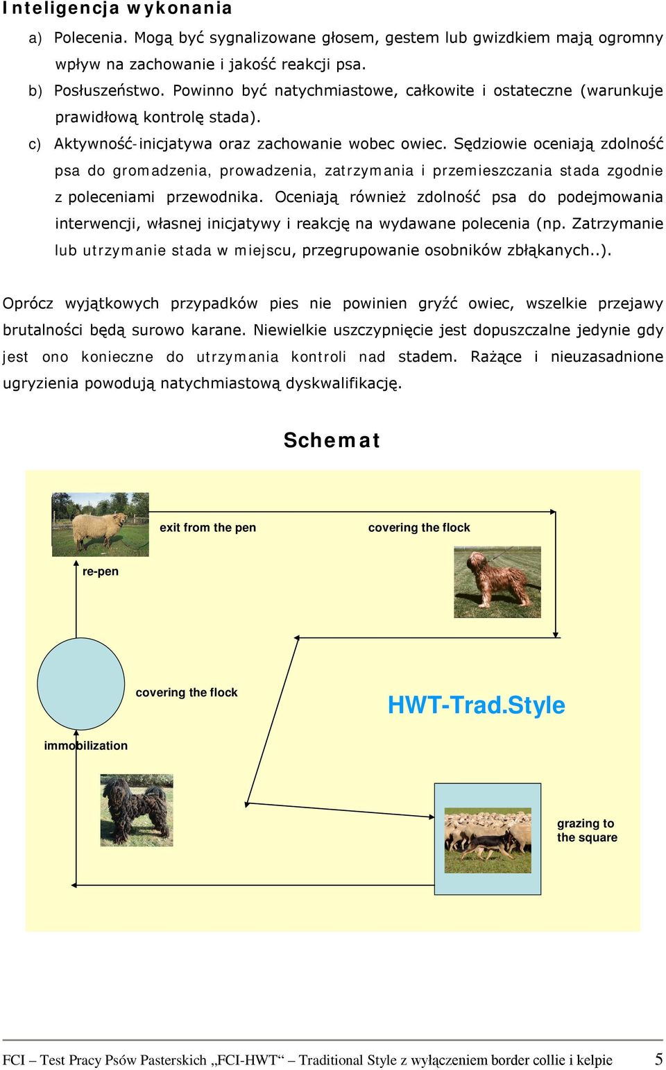 Sędziowie oceniają zdolność psa do gromadzenia, prowadzenia, zatrzymania i przemieszczania stada zgodnie z poleceniami przewodnika.