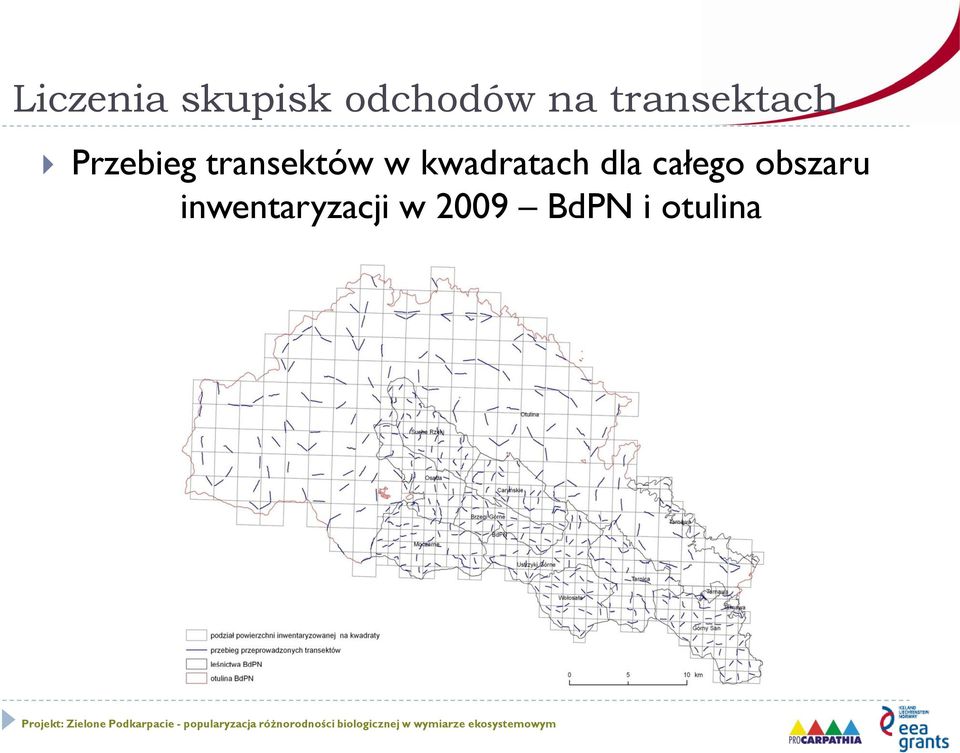 w kwadratach dla całego obszaru